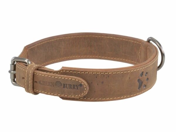Bőr gallér HU 56-63cm - Image 5